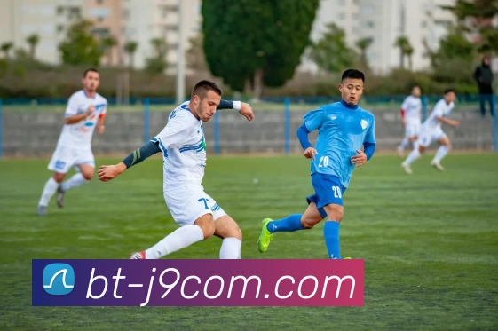 App Interface Preview